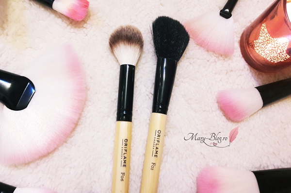 pensula fard de obraz